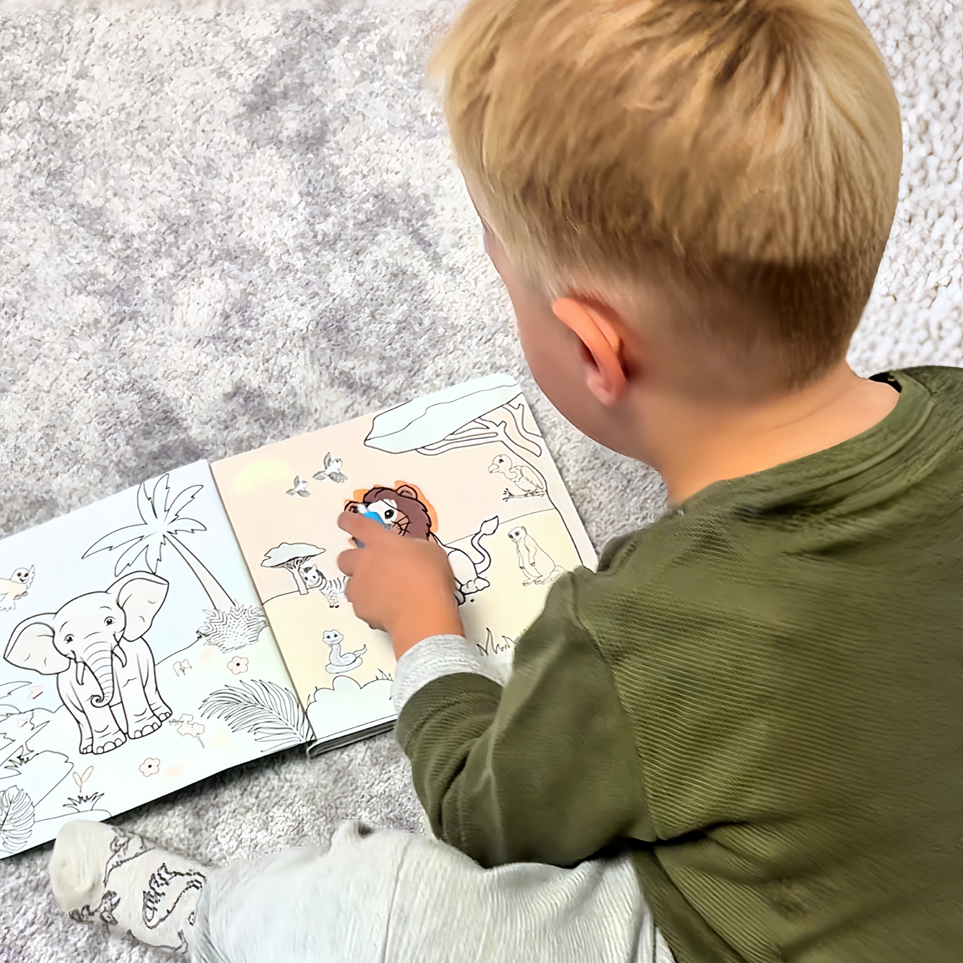 ColorMe - Livre de Coloriage à l’eau Magique